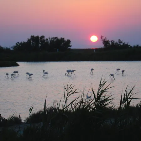 chambre les flamants-3